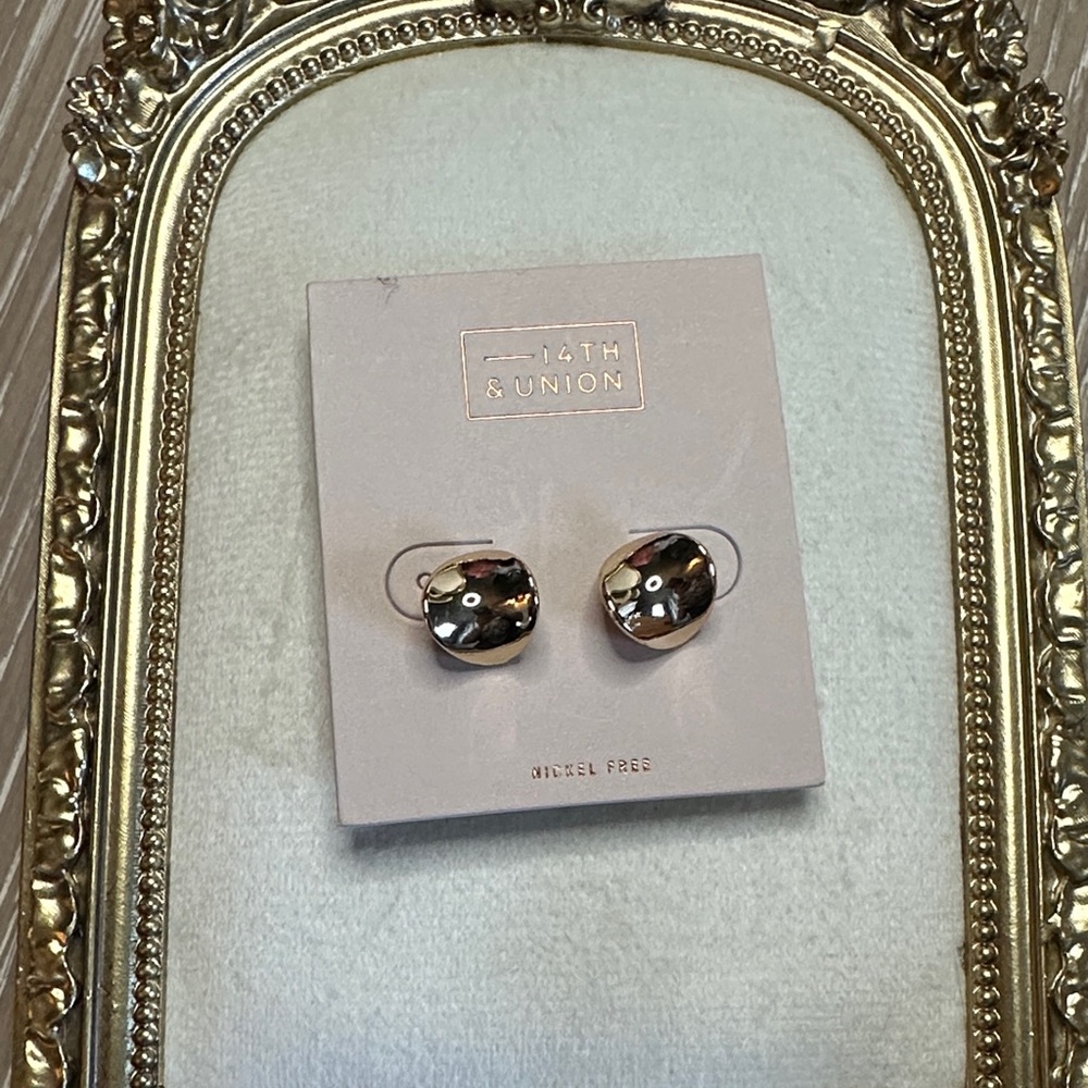 NEW! 14th & Union Brown Patterned Earrings